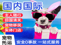 莫力达瓦旗空运公司国际宠物托运 【国